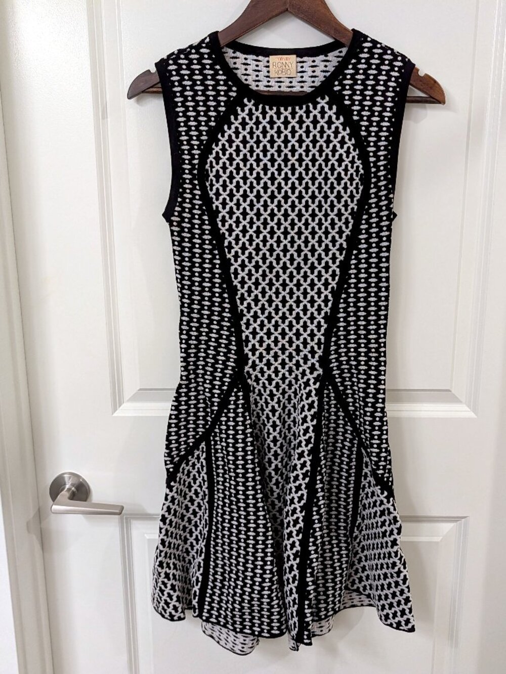 Torn by Ronny Kobo 'Yafa' Dress - Picture 2 of 9